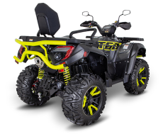 TGB Blade 1000 LTX LED MAX EPS T3b LIMITED